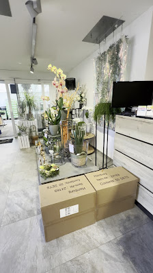 Blumen Schlegel GmbH & Co. KG