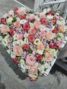 Blumen Schlegel GmbH & Co. KG