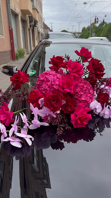 Floral Aesthetics - Auftragsfloristik