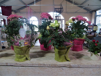 Blumen Viola Inh. Vinzenz Mayr