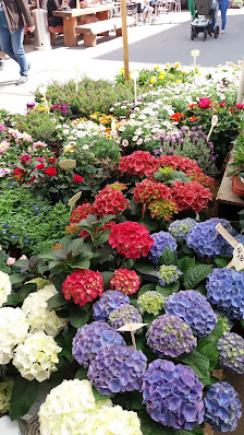 Blumen Gabriele im Stadtmarkt