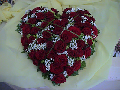 Blumen Schütz
