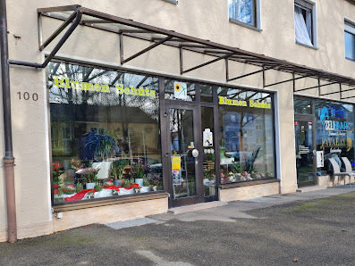 Blumen Schütz