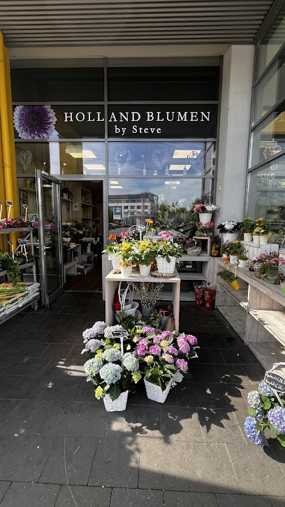 Holland Blumen by Steve