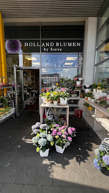 Holland Blumen by Steve