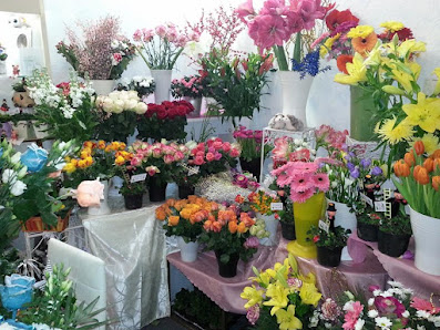 FlowerPower Mariendorf