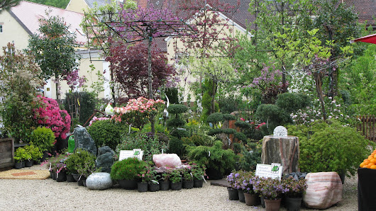 Olschewsky E.-M. Dipl.-Ing. - Baumschule und Garten- und Landschaftsgestaltung