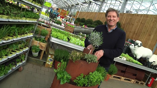 Wörnergärtner Gartencenter Königsbrunn