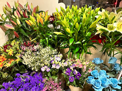 Blumen & Pflanzen Britz Süd