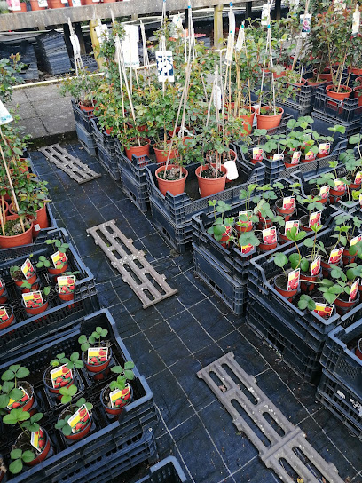 Gartencenter Emmermann