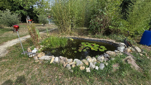Teichreinigung und Gartenpflege Schön