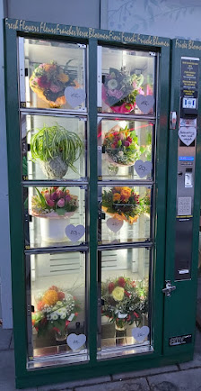 BlumenHaus PrimaVera Am Milchwerk UG (haftungsbeschränkt)