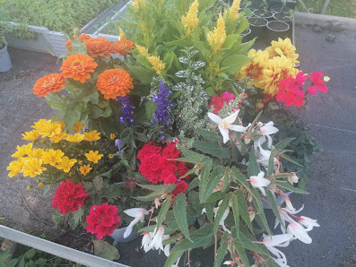 Blumen Sedlmair