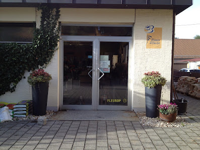 Blumen Ullmann
