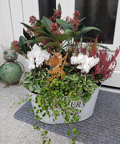 Blumen Ranunkel