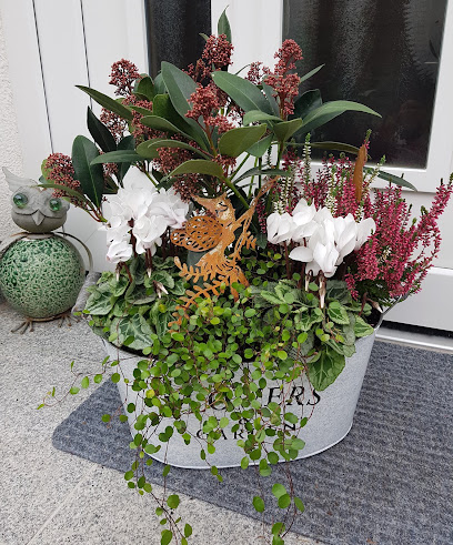 Blumen Ranunkel