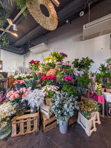 Holland Blumen Hit Wiesbaden