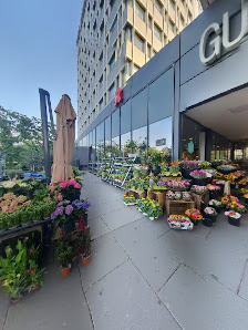 Holland Blumen Hit Wiesbaden