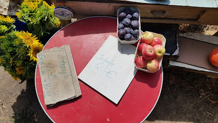 Verkaufsstand Für Blumen, Obst & Gemüse