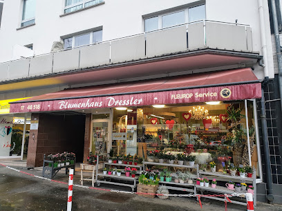 Blumen Dressler