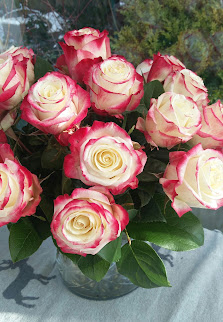 Blumen Dekker