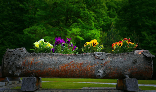 Saliba Garten- und Landschaftsbau