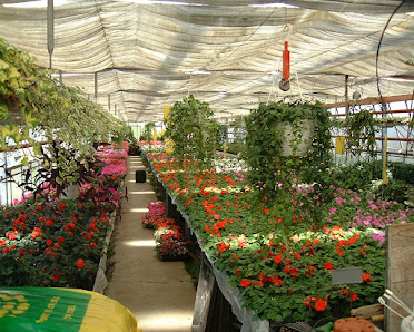 Blumen Klingel Floristmeisterbetrieb mit Gärtnerei