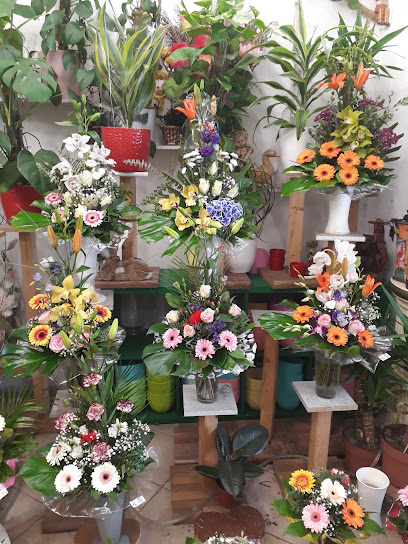 Elias Blumen 95