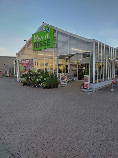 Raunheim