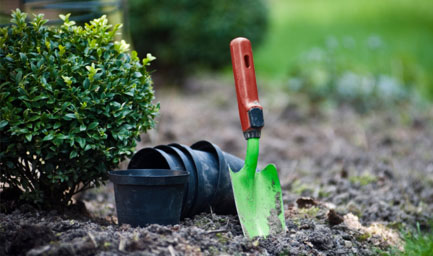 Simon Natur Erleben GbR - Gartenpflege und Grabpflege Gelsenkirchen