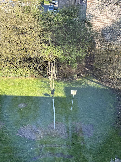 HVG Grünflächenmanagement GmbH