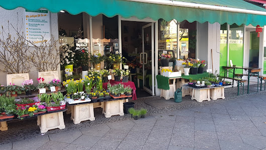 Kilinc Syfi Blumen Welt