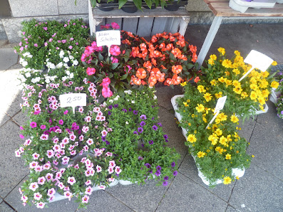 Franz Große-Holtfort Blumen Kranzbinderei