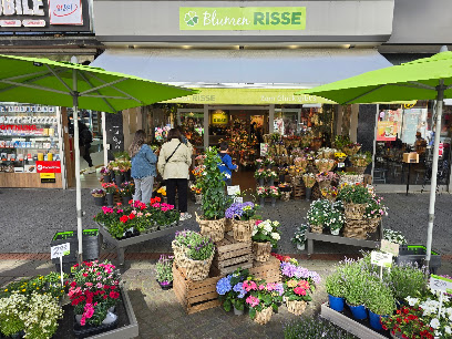 Blumen Risse Blumenladen Gelsenkirchen-Innenstadt