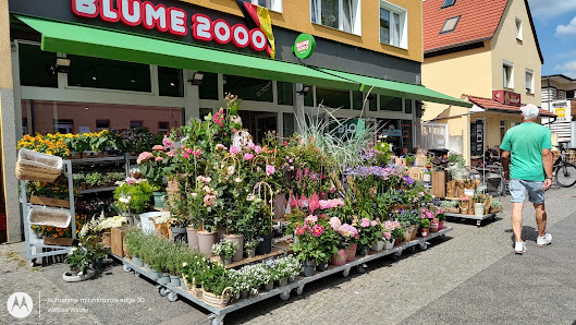 BLUME2000 Berlin Alt Rudow