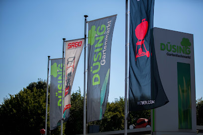 Düsing