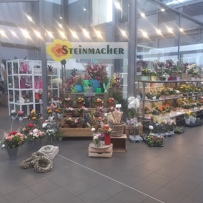 Steinmacher