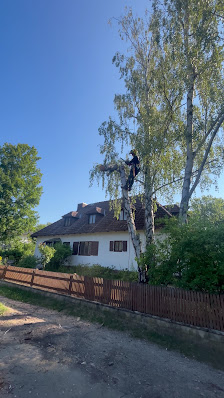 Scheyer Gartenpflege
