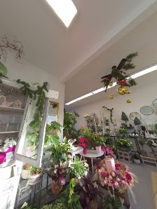 Mr. Flora