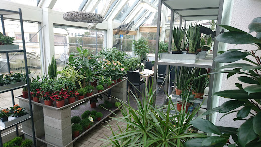 Blumen-Eckardt GmbH & Co. KG