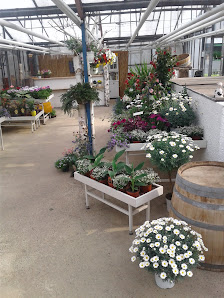 Gartenbaucentrum Heidberg Markmann’s Gartenpflege & Gestaltung