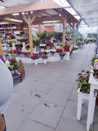 Gartencenter