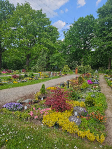 Frank Remy Gartenbaubetrieb