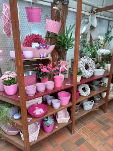 Blumenhaus Eckardt