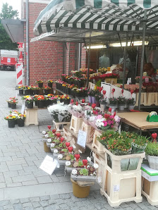 Blumen Rita