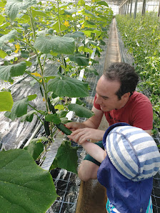 Hofladen Felger Gartenbau und Hofladen