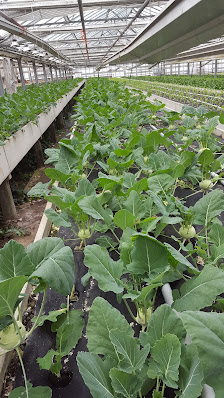 Hofladen Felger Gartenbau und Hofladen