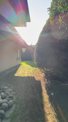 Preniqi Gartenservice