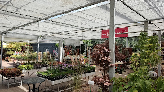 Campo Verde Einkaufsgarten