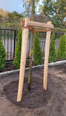 ILEX - GARTENBAU Stephan Strutzke
